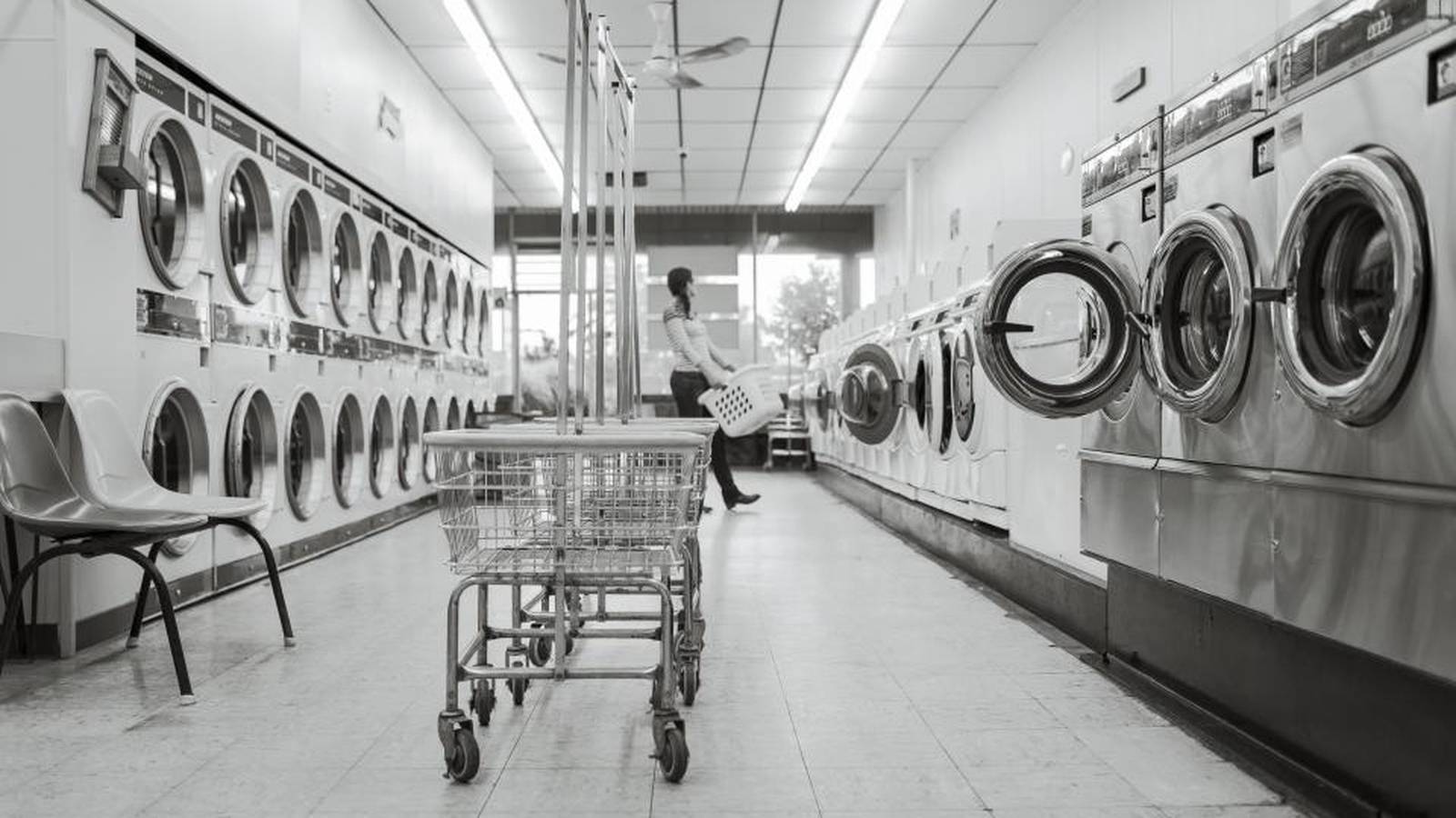 Rangée de laveuses à chargement frontal alignées dans une salle de lavage